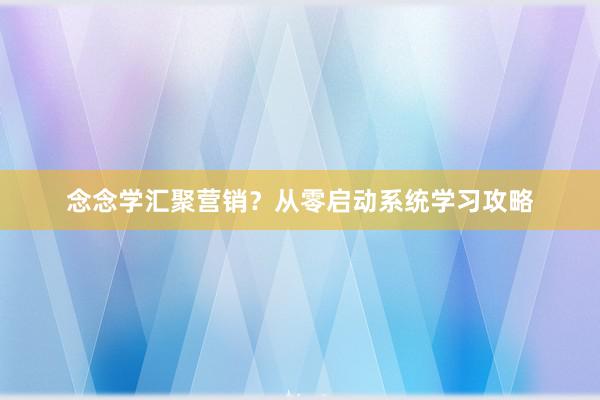 念念学汇聚营销?从零启动系统学习攻略