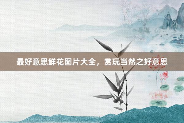 最好意思鲜花图片大全，赏玩当然之好意思
