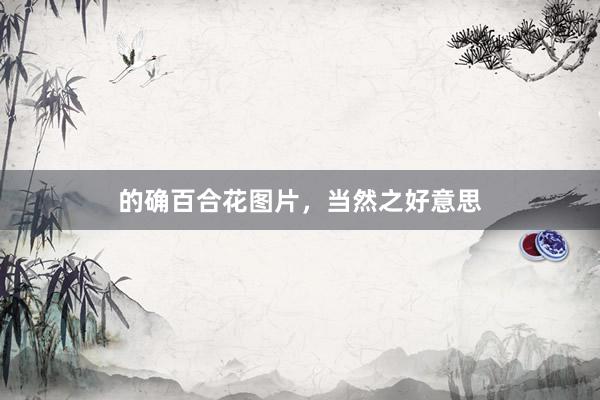 的确百合花图片，当然之好意思