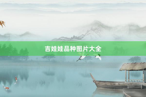 吉娃娃品种图片大全